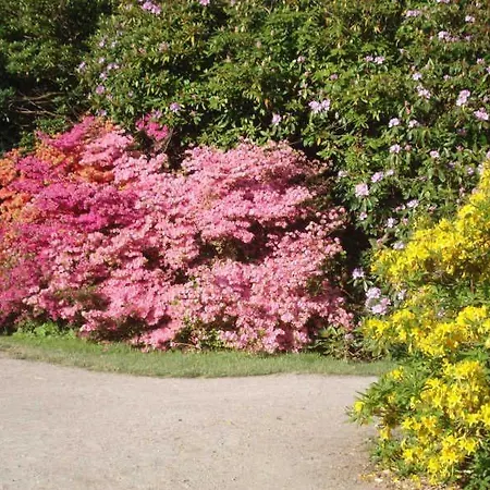 Nordlicht - Nahe Der Kurstrasse Und Dem Reha Zentrum Apartament Graal-Mueritz
