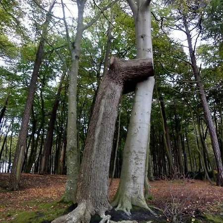 Apartament Nordlicht - Nahe Der Kurstrasse Und Dem Reha Zentrum Graal-Mueritz