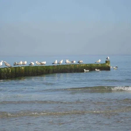Nordlicht - Nahe Der Kurstrasse Und Dem Reha Zentrum Graal-Mueritz
