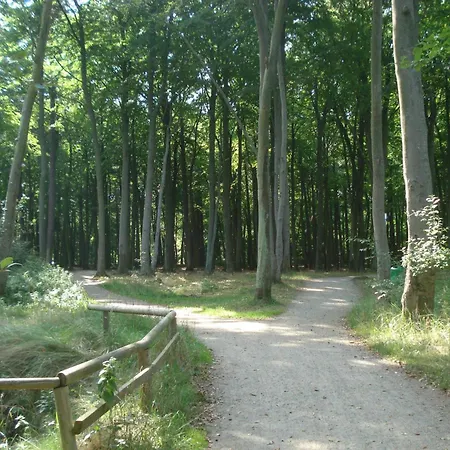 Apartment Nordlicht - Nahe Der Kurstrasse Und Dem Reha Zentrum Graal-Mueritz
