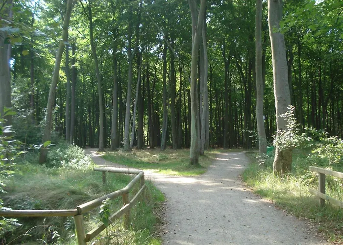 Διαμέρισμα Nordlicht - Nahe Der Kurstrasse Und Dem Reha Zentrum Graal-Mueritz